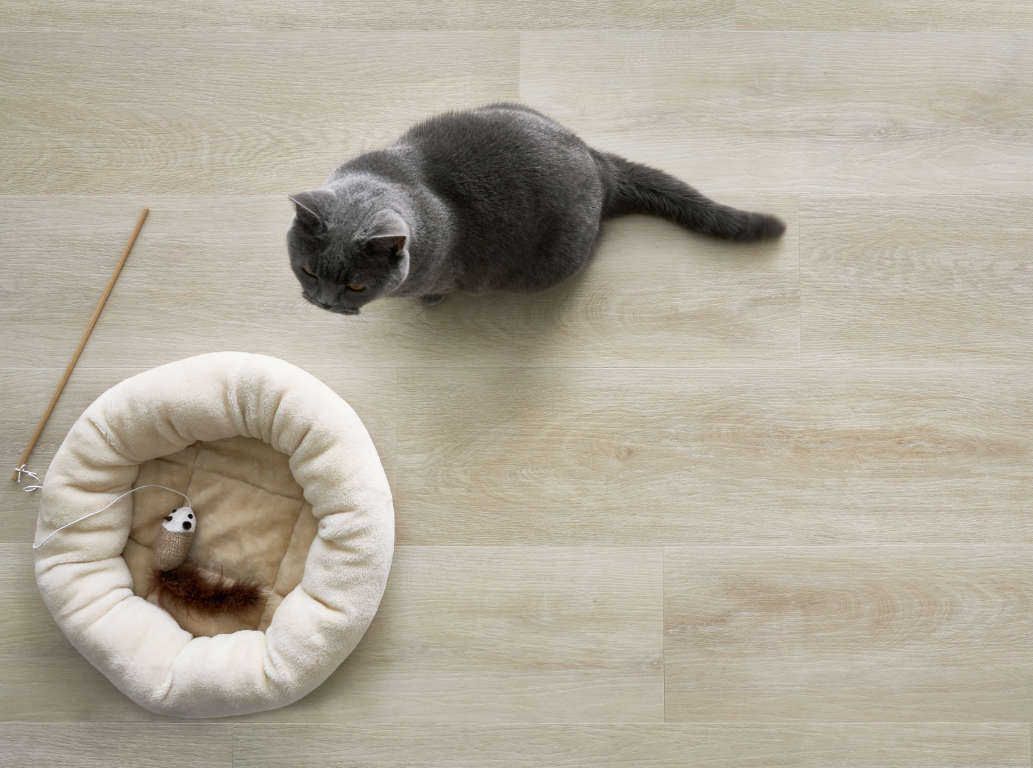 PolWood Bútor és Padló